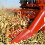 Mercado físico de Rosario: mejoraron los valores de compra por maíz, soja y girasol AGRONEGOCIOS