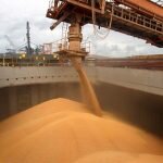 Mercado físico de Rosario con precios estables para los cereales y caída de oferta por soja Contribución récord del agro