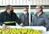 Certifican el primer cargamento de limones para exportar a la Unión Europea limones