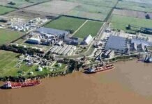 Sin el dólar soja, los agroexportadores liquidaron en enero un 75% menos que en diciembre agroexportadores