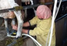 El Programa Impulso Tambero ya inscribió a 3650 productores impulso tambero