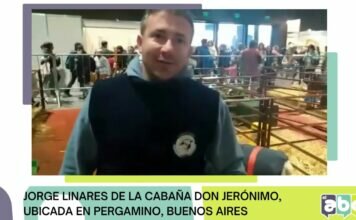 Jorge Linares, criador de la raza Hampshire Down