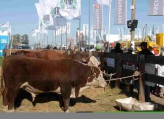 Alianza de trabajo entre AgroActiva y Sáenz Valiente, Bullrich y Cía. aGROACTIVA