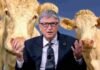 Apuesta millonaria de Bill Gates para revolucionar la ganadería Bill gates