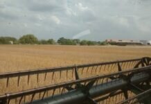 Alfredo de Angeli propone bajar retenciones de manera gradual