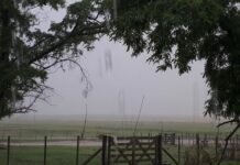 Precipitaciones que ilusionan al sector agropecuario en la mayor parte de la zona núcleo Precipitaciones