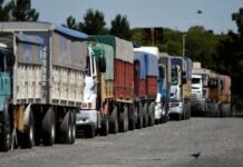 En lo que va de la campaña, el ingreso de camiones con trigo al Gran Rosario cayó un 80% transporte de cargas