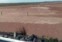 La Picasa: la sequía provocó una bajante histórica de la laguna la picasa
