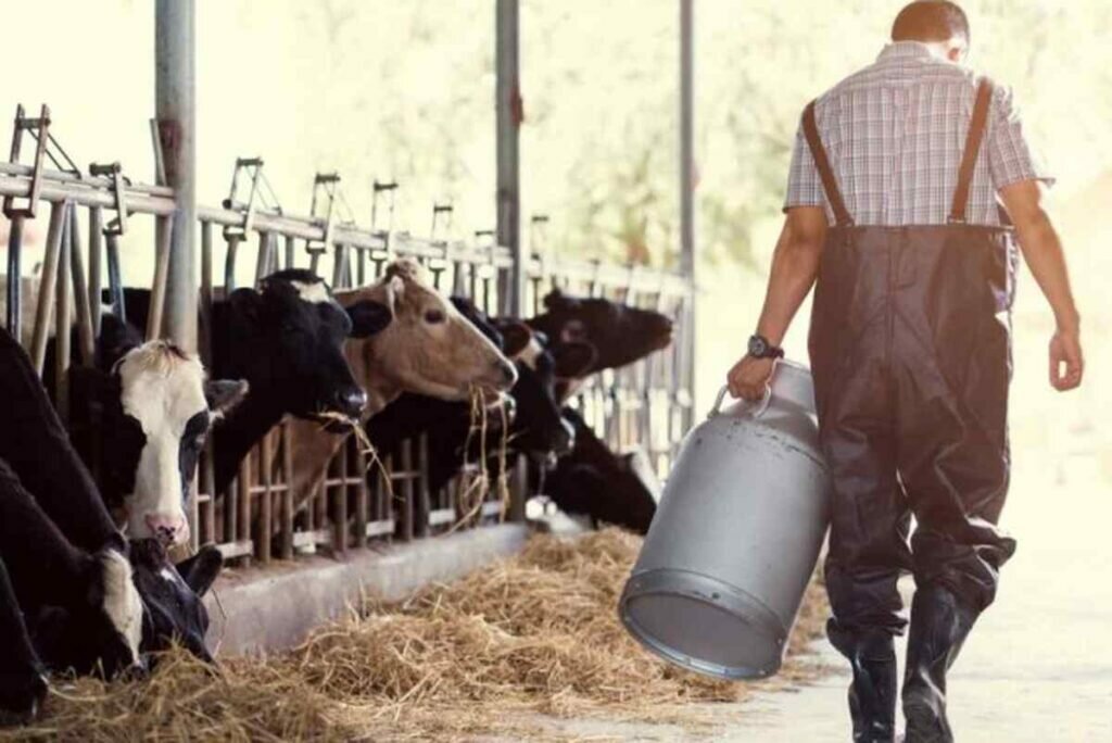 MESA DE ENLACE TAMBEROS