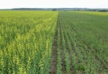 Simposio Fertilidad 2023: Hacia dónde debemos pensar nuestra agricultura simposio fertilidad 2023