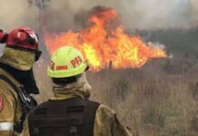 El fuego arrasó con más de 27.000 hectáreas en Corrientes y la lluvia no llega Corrientes