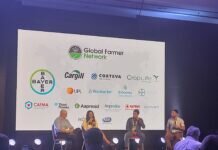 El desafío de gestionar la fotosíntesis alrededor del mundo