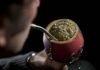 Yerba mate: se contrajo el mercado interno, pero las exportaciones se incrementaron un 13,5% YERBA MATE