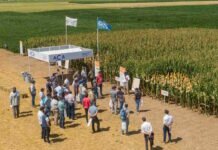 Vuelve la muestra A Campo Abierto con foco en lo digital