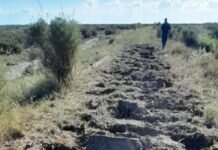 Robaron casi 4 kilómetros de rieles entre Bahía Blanca y Carmen de Patagones ROBARON